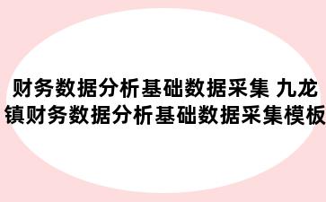 财务数据分析基础数据采集 九龙镇财务数据分析基础数据采集模板